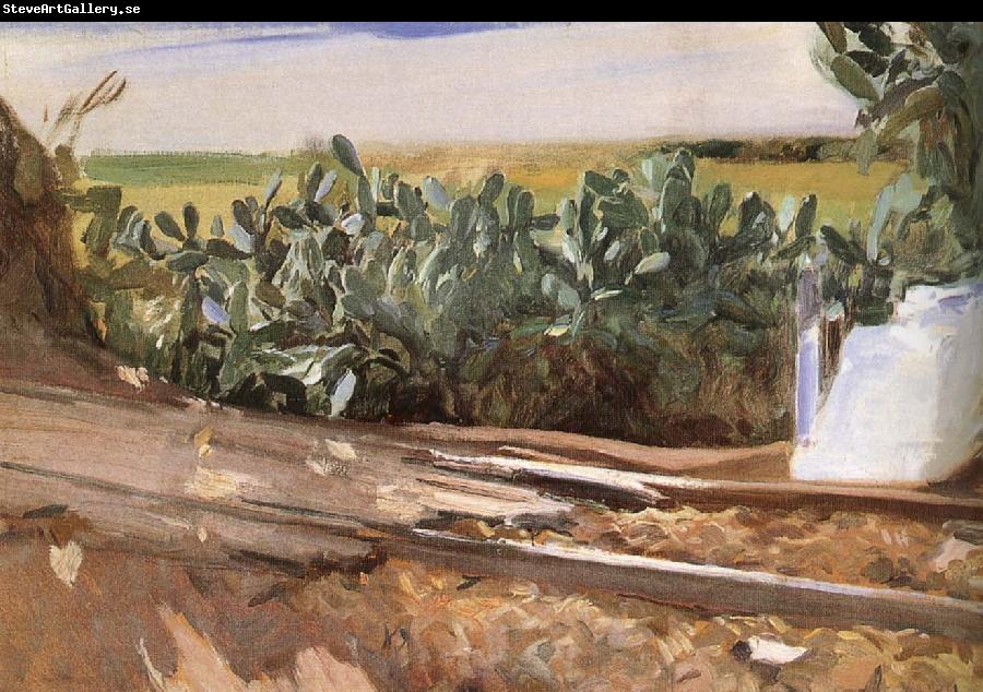 Joaquin Sorolla Roadside grass